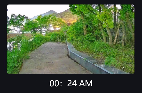 Im Dunkeln sehen: Eine einfache Anleitung für Schwarzlichtkameras mit Nachtsicht-Sicherheit